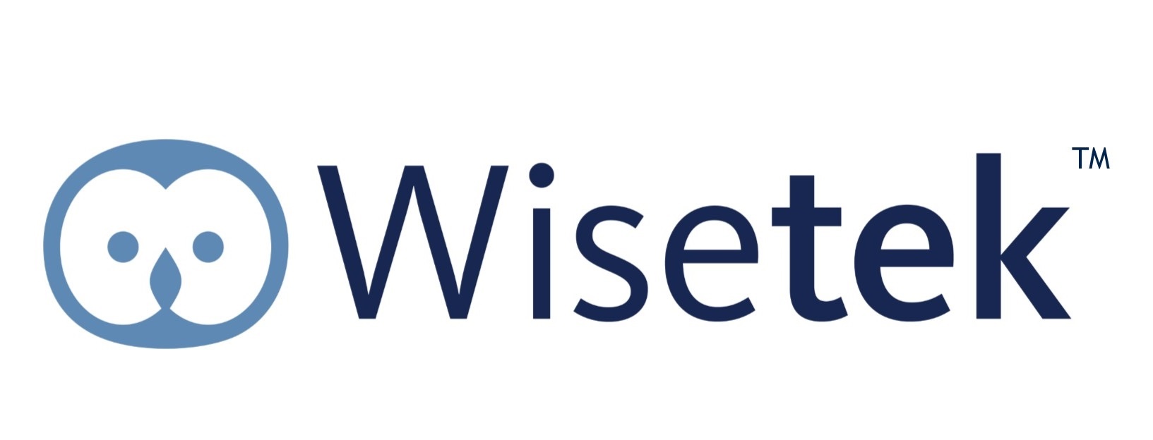 Wisetek Logo
